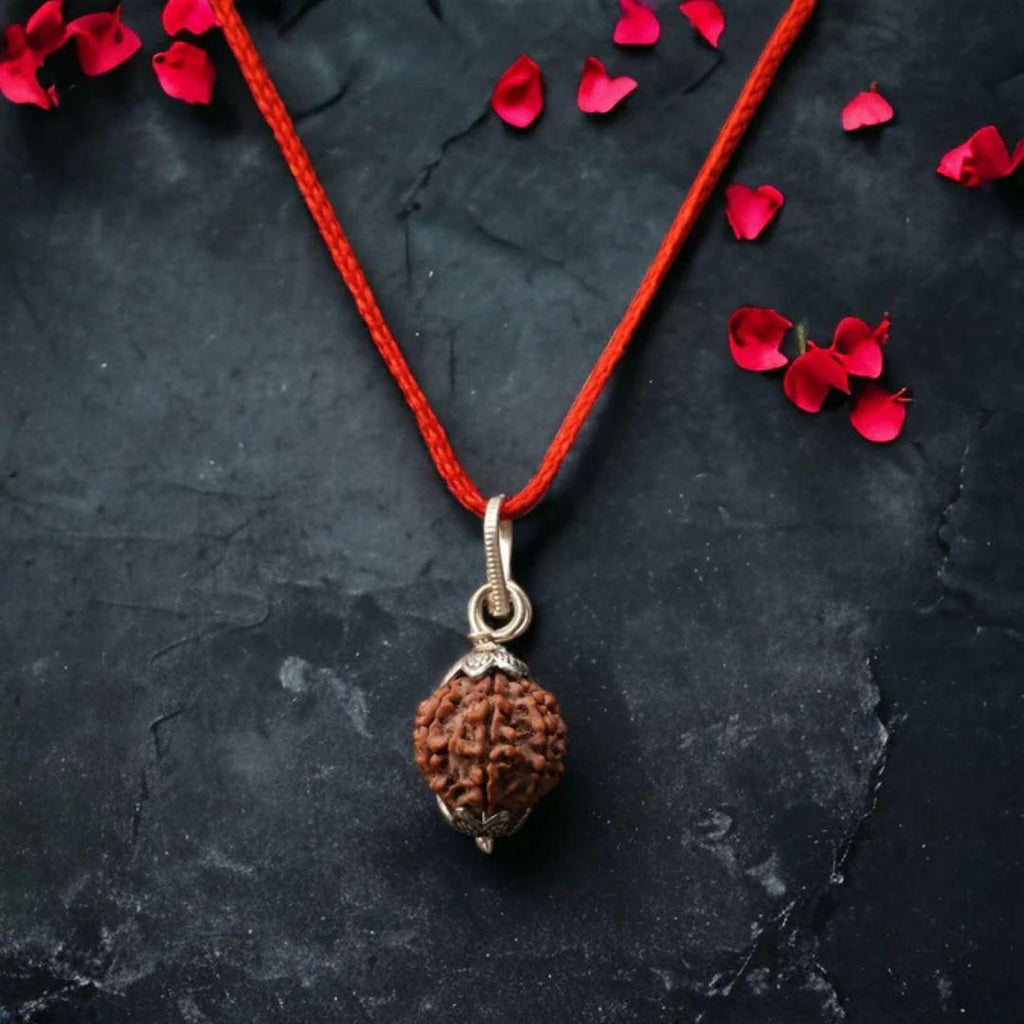 7 Mukhi Nepali Rudraksha